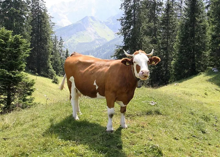 Xenia Апартаменты *